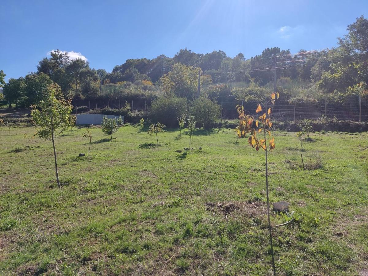Tinyhouse Rossas Villa Santa Comba de Rossas Екстериор снимка
